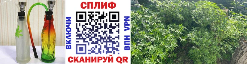 Где купить Великий Устюг АМФ  Меф мяу мяу  МЕГА маркетплейс  ГАШИШ  КОКАИН  СОЛЬ 